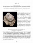 Research paper thumbnail of Painted Plaster Head