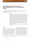 Research paper thumbnail of High phylogenetic diversity of the cat flea ( Ctenocephalides felis ) at two mitochondrial DNA markers