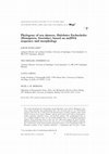 Research paper thumbnail of Phylogeny of sea skaters, Halobates Eschscholtz (Hemiptera, Gerridae), based on mtDNA sequence and morphology