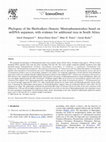 Research paper thumbnail of Phylogeny of the Heelwalkers (Insecta: Mantophasmatodea) based on mtDNA sequences, with evidence for additional taxa in South Africa