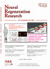 Research paper thumbnail of Tuning of neocortical astrogenesis rates by Emx2 in neural stem cells