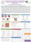 Research paper thumbnail of Sensitivity of Korean Isolates of Phytophthora infestans to Commonly Used Fungicides in Potato Crops