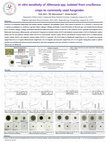 Research paper thumbnail of In vitro sensitivity of Alternaria spp. isolated from cruciferous crops to commonly used fungicides