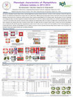 Research paper thumbnail of Phenotypic characteristics of Phytophthora infestans isolates in 2013-2014