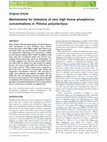 Research paper thumbnail of Mechanisms for tolerance of very high tissue phosphorus concentrations in P tilotus polystachyus