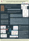 Research paper thumbnail of Mise en oeuvre de moyens techniques pour l'acquisition de données anthropométriques en contexte préventif : avantages, limites et nouvelles propositions