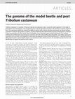 Research paper thumbnail of The genome of the model beetle and pest Tribolium castaneum