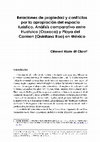 Research paper thumbnail of Relaciones de propiedad y conflictos por la apropiación del espacio turístico. Análisis comparativo entre Huatulco (Oaxaca) y Playa del Carmen (Quintana Roo) en México [BOOK CHAPTER]