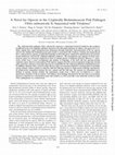 Research paper thumbnail of A novel lux operon in the cryptically bioluminescent fish pathogen Vibrio salmonicida is associated with virulence