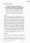 Research paper thumbnail of Cloning, expression, purification, and analysis of mannitol dehydrogenase gene mtlK from Lactobacillus brevis