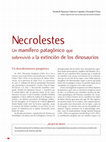 Research paper thumbnail of Necrolestes Un mamífero patagónico que sobrevivió a la extinción de los dinosaurios