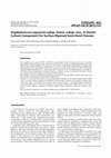 Research paper thumbnail of Staphylococcus equorum subsp. linens, subsp. nov., A Starter Culture Component for Surface Ripened Semi-Hard Cheeses