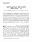 Research paper thumbnail of Comparison of Mixed and Lamellar Coculture Spatial Arrangements for Tissue Engineering Capillary Networks In Vitro