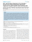 Research paper thumbnail of HIV1 gp120 Induces Expression of IL6 through a Nuclear Factor-Kappa B-Dependent Mechanism: Suppression by gp120 Specific Small Interfering RNA