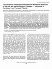 Research paper thumbnail of The ultraviolet fingerprint dominates the mutational spectrum of the p53 and Ha-ras genes in psoralen + ultraviolet A keratoses from psoriasis patients