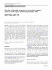 Research paper thumbnail of Diversity of culturable Streptomycetes from wheat cropping system of fertile regions of Indo-Gangetic Plains, India