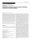 Research paper thumbnail of Characterization and radiation resistance of new isolates of Rubrobacter radiotolerans and Rubrobacter xylanophilus