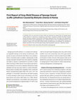 Research paper thumbnail of First Report of Gray Mold Disease of Sponge Gourd (Luffa cylindrica ) Caused by Botrytis cinerea in Korea