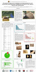 Research paper thumbnail of THE RECORD OF HUMAN ACTIVITY IMPRESSED ON THE BONE SURFACES OF A LATE PLEISTOCENE ZOOARCHAEOLOGICAL ASSEMBLAGE IN THE NORTH OF ITALY. RESULTS FROM THE FIRST INVESTIGATIONS. THE