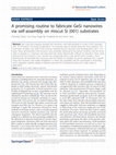 Research paper thumbnail of A promising routine to fabricate GeSi nanowires via self-assembly on miscut Si (001) substrates