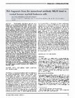 Research paper thumbnail of Fab fragments from the monoclonal antibody ML3O bind to treated human myeloid leukemia cells