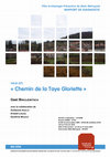 Research paper thumbnail of Vaux (57), Chemin de la Taye Gloriette