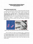 Research paper thumbnail of Fucoidan vs VIBRIO PARAHAEMOLYTICUS