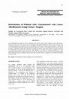 Research paper thumbnail of Remediation of polluted soils contaminated with Linear Alkyl Benzenes using Fenton's reagent