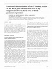 Research paper thumbnail of Functional characterization of the 5 flanking region of the BACE gene: identification of a 91 bp fragment involved in basal level of BACE promoter expression