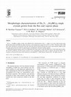 Research paper thumbnail of Morphologic characterization of DyxY1−xAl3(BO3)4 single crystals grown from the flux and vapour phase