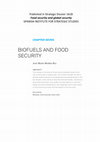 Research paper thumbnail of BIOFUELS AND FOOD SECURITY