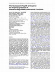 Research paper thumbnail of The Nucleoporin Nup96 Is Required for Proper Expression of Interferon-Regulated Proteins and Functions