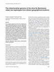 Research paper thumbnail of The mitochondrial genome of the olive fly Bactrocera oleae: two haplotypes from distant geographical locations