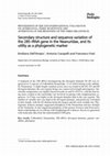 Research paper thumbnail of Secondary structure and sequence variation of the 28S rRNA gene in the Neanuridae, and its utility as a phylogenetic markerProceedings of the Xth international Colloquium on Apterygota, České Budějovice 2000: Apterygota at the Beginning of the Third Millennium