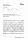 Research paper thumbnail of Molecular phylogeny of the apterygotan insects based on nuclear and mitochondrial genes