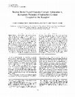 Research paper thumbnail of Bovine Brain Coated Vesicles Contain Adenosine A 1 Receptors. Presence of Adenylate Cyclase Coupled to the Receptor