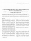 Research paper thumbnail of EL CONSUMO DE FRIJOL COMÚN (Phaseolus vulgaris L.) Y SU EFECTO SOBRE EL CÁNCER DE COLON EN RATAS SPRAGUE-DAWLEY* COMMON BEAN (Phaseolus vulgaris L.) CONSUMPTION AND ITS EFFECTS ON COLON CANCER IN SPRAGUE-DAWLEY RATS