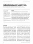 Research paper thumbnail of Ectopic expression of a recessive resistance gene generates dominant potyvirus resistance in plants