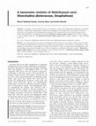 Research paper thumbnail of A taxonomic revision of Helichrysum sect. Stoechadina (Asteraceae, Gnaphalieae