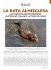 Research paper thumbnail of La RATA ALMIZCLERA, un roedor traído por peleteros que terminó poblando la Tierra del Fuego, AzaraA-Nº 2 / 77/9