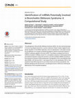 Research paper thumbnail of Identification of miRNAs Potentially Involved in Bronchiolitis Obliterans Syndrome: A Computational Study