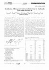 Research paper thumbnail of Identification of Boletopsin 11 and 12, Antibiotics from the Traditionally Used Fungus Boletopsis sp