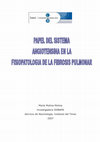 Research paper thumbnail of Papel del sistema angiotensina en la fisiopatología de la fibrosis pulmonar