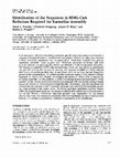 Research paper thumbnail of Identification of the sequences in HMG-CoA reductase required for karmellae assembly