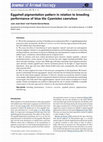 Research paper thumbnail of Eggshell pigmentation pattern in relation to breeding performance of blue tits Cyanistes caeruleus