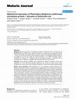 Research paper thumbnail of Optimized expression of Plasmodium falciparum erythrocyte membrane protein 1 domains in Escherichia coli