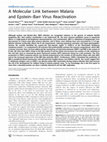 Research paper thumbnail of A Molecular Link between Malaria and Epstein–Barr Virus Reactivation