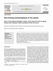 Research paper thumbnail of Necrotizing sialometaplasia of the palate