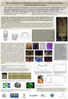 Research paper thumbnail of Multi-Analytical Study of the Construction and Painting of a Late Period Sarcophagus in the Egyptian Museum of Cairo