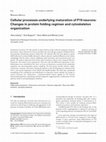 Research paper thumbnail of Cellular processes underlying maturation of P19 neurons: Changes in protein folding regimen and cytoskeleton organization